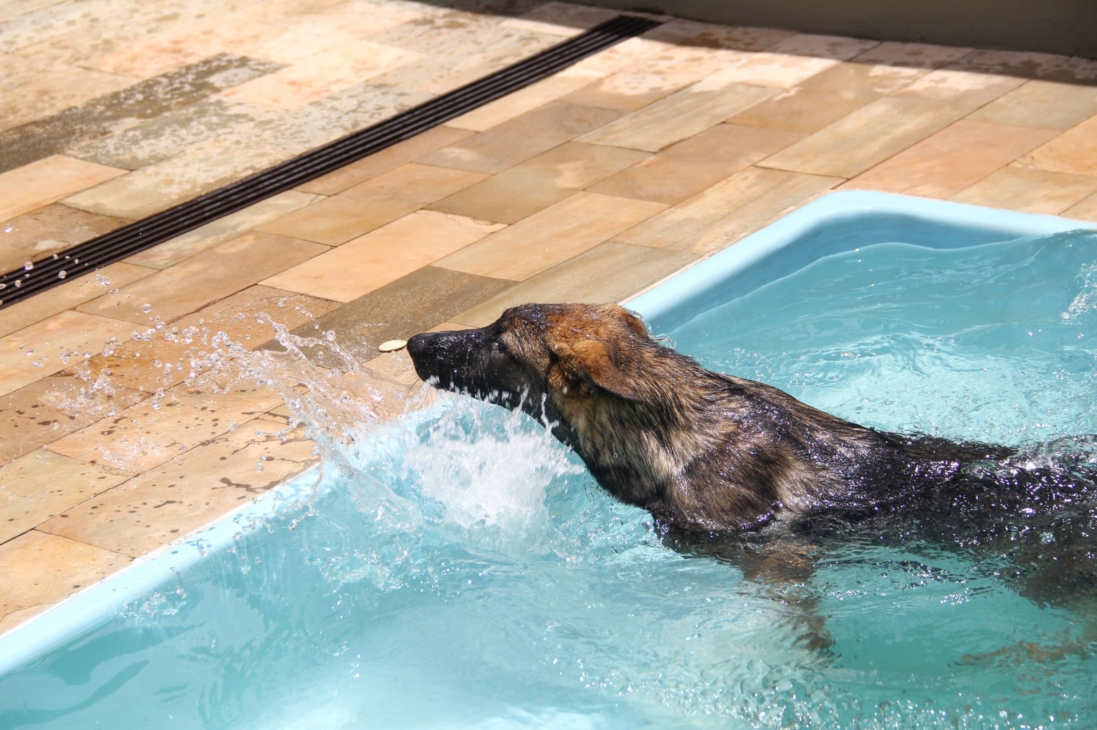 CUIDADOS NA PISCINA